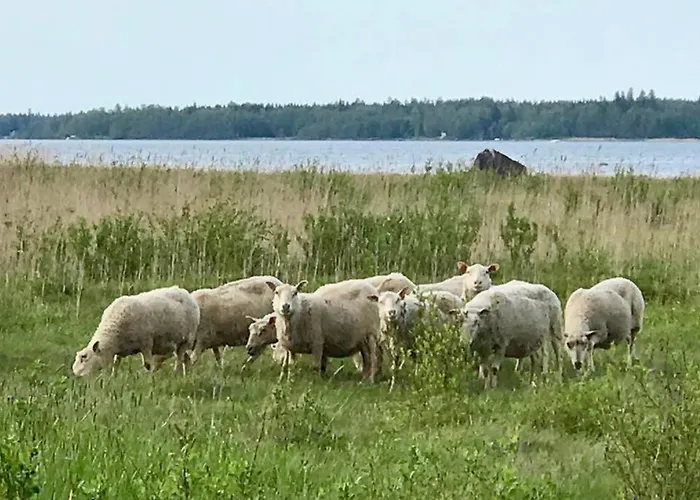 Вилла H A R R B A D A - Kaksi Moekkiae Merenrannalla *