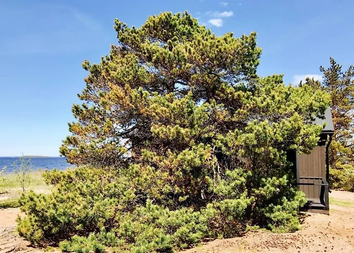 H A R R B A D A - Kaksi Moekkiae Merenrannalla